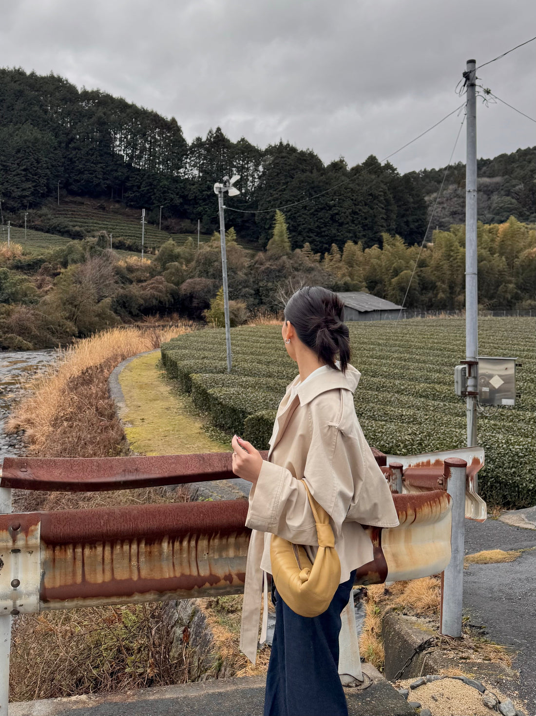 Matcha Mama Visits a Tea Farm in Kyoto
